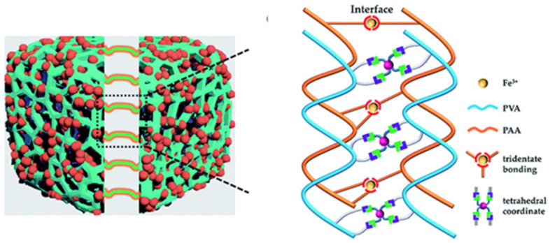 Figure 55