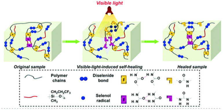 Figure 42