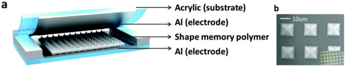 Figure 61