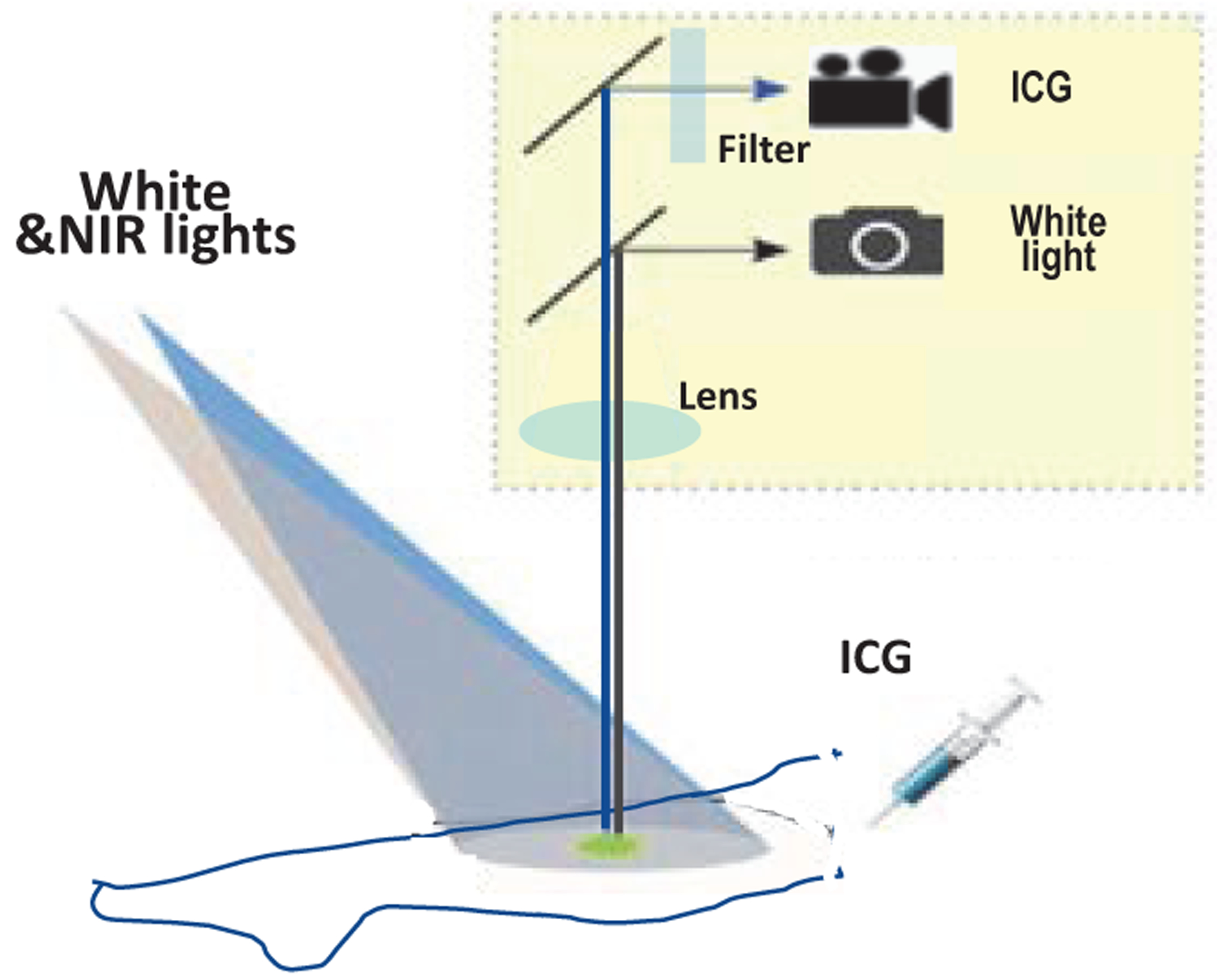 Figure 1: