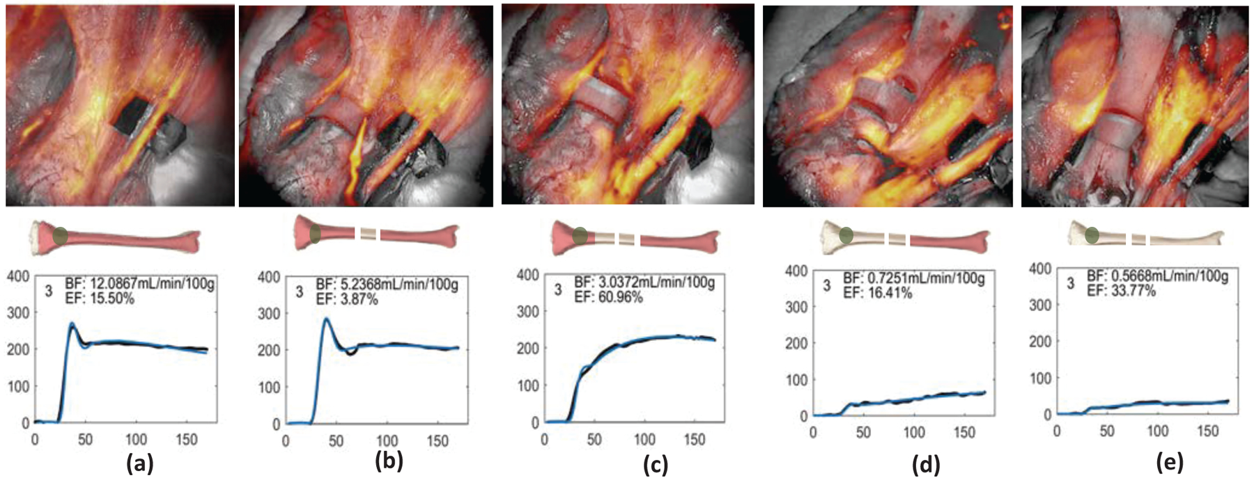 Figure 4: