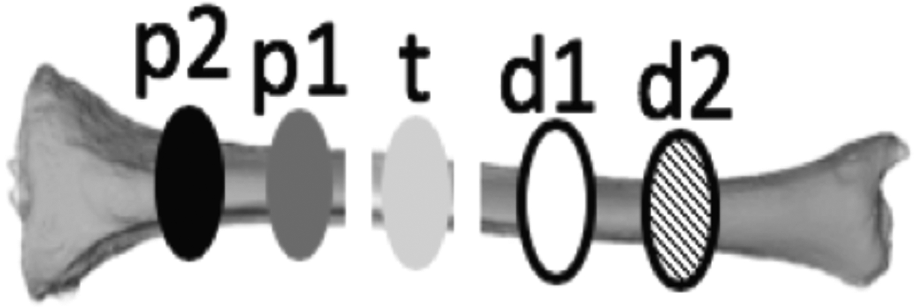 Figure 2: