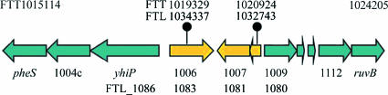 FIG. 2.