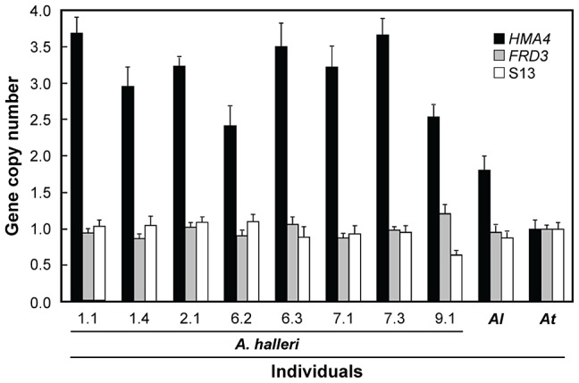 Figure 5