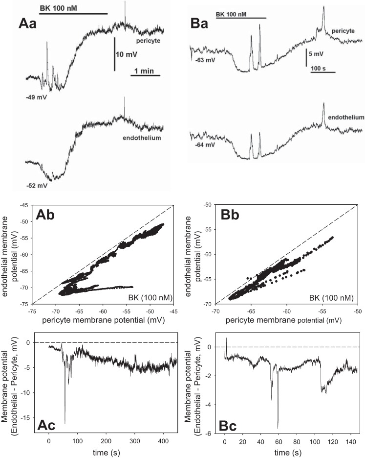 Fig. 8.