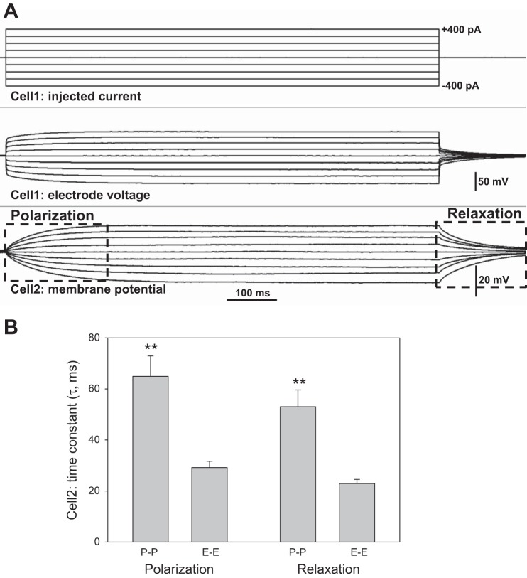 Fig. 5.