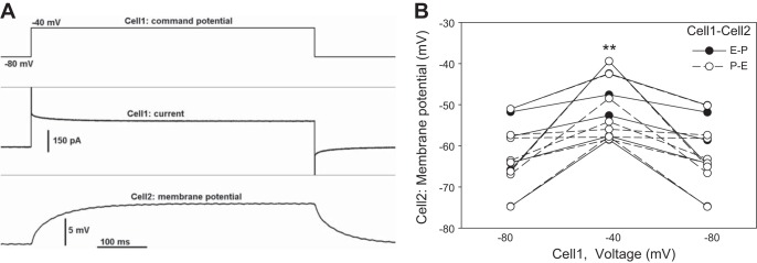 Fig. 9.