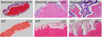 Fig 13