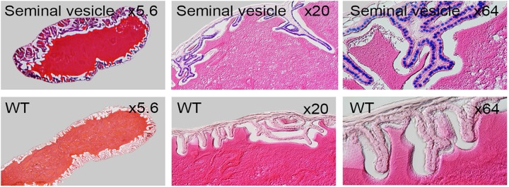 Fig 13