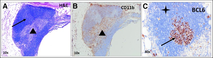 FIG. 7.