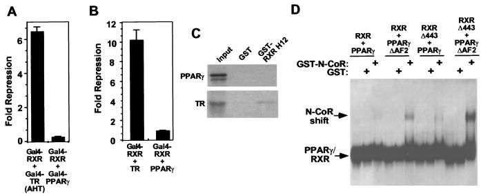 FIG. 7