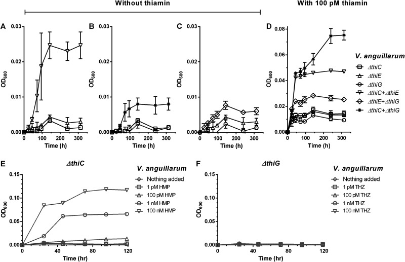 FIG 4