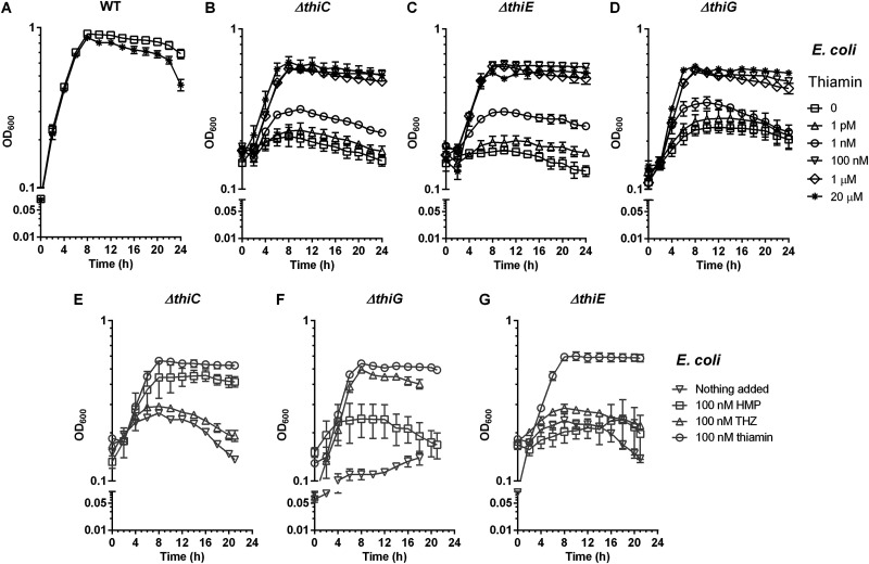 FIG 2