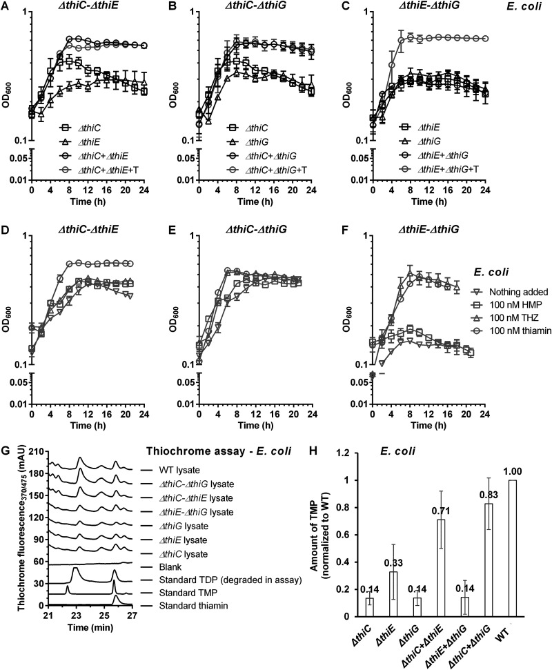 FIG 3