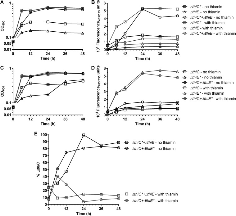 FIG 6