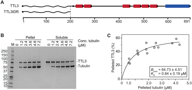 Fig. 3.