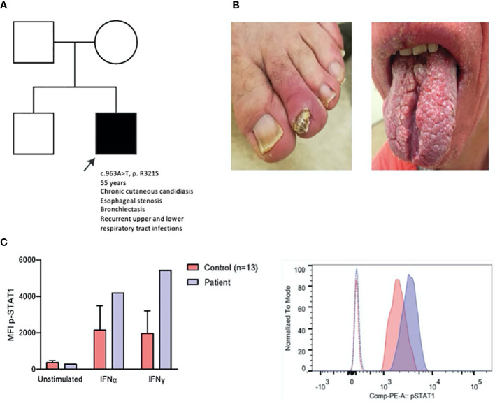 Figure 1