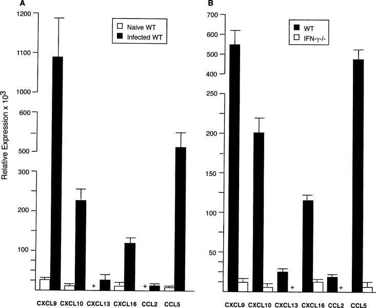 FIG 1