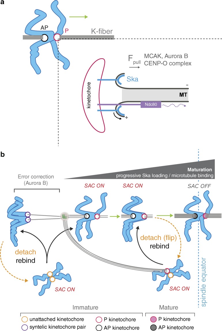 Figure 10.