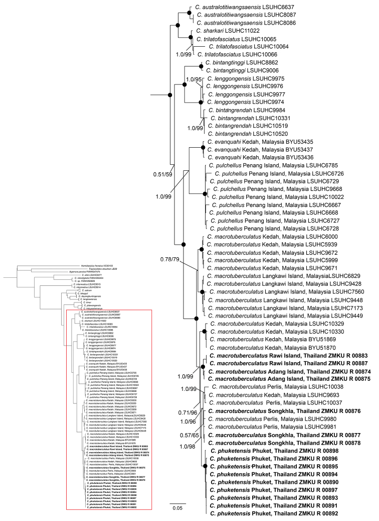 Figure 2.