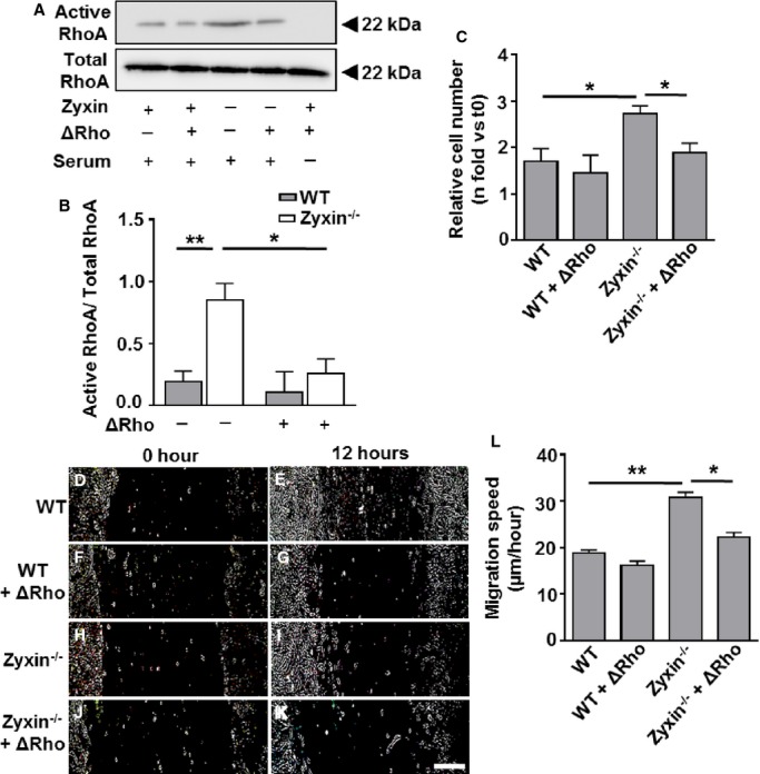 Figure 16