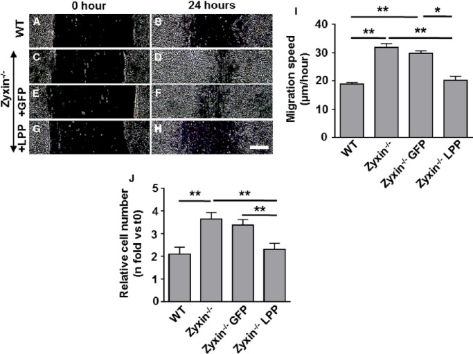 Figure 22