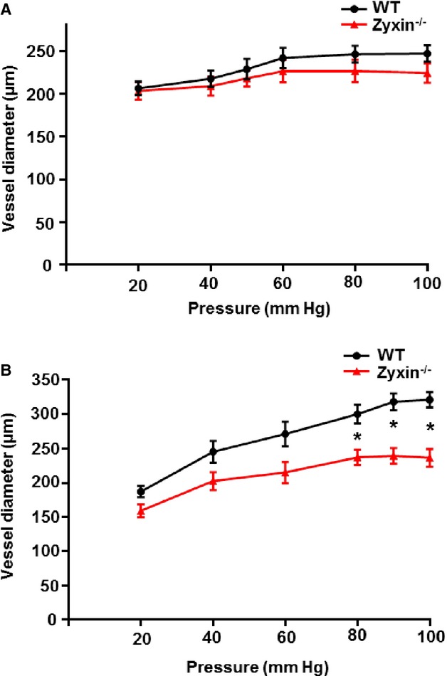 Figure 19