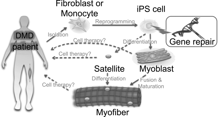 Fig.4