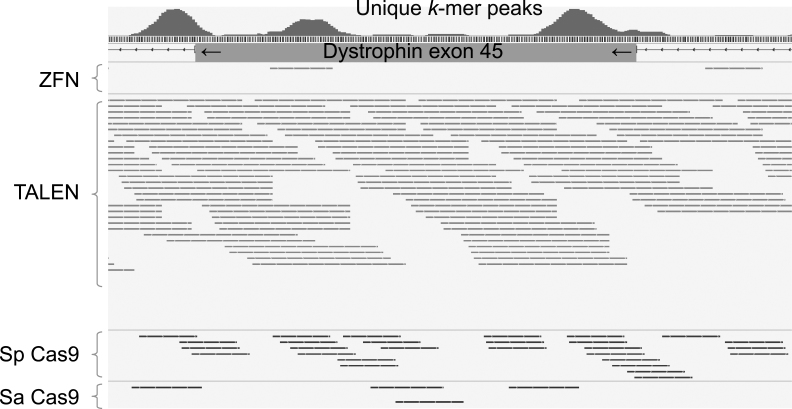 Fig.3