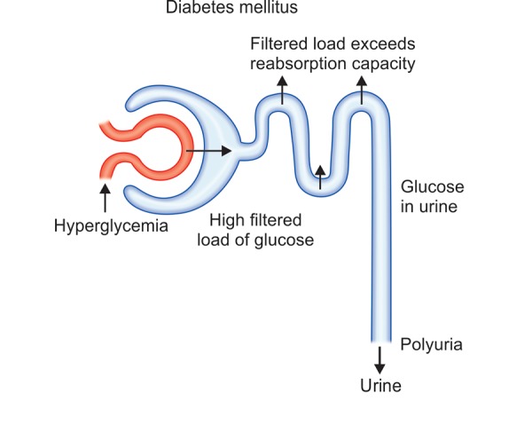 Fig. 1: