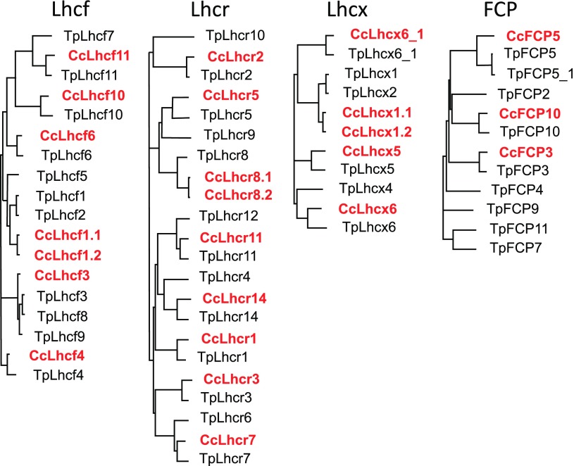 Figure 2.