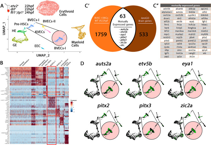 Figure 1—figure supplement 2.