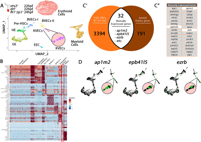 Figure 1—figure supplement 3.