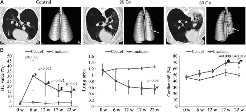 Fig. 1.