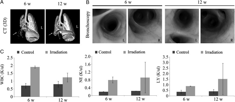 Fig. 3.