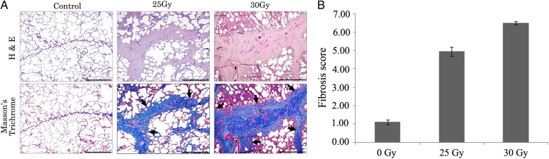 Fig. 4.