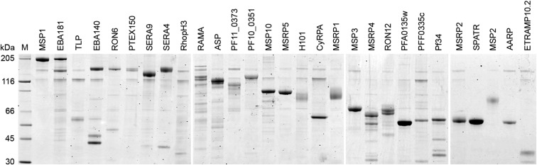 Fig. S1.