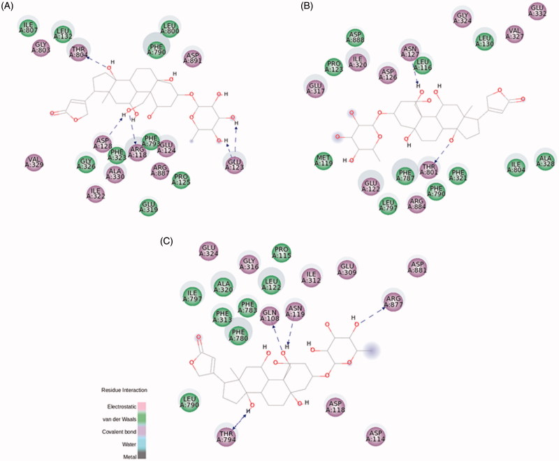 Figure 5.