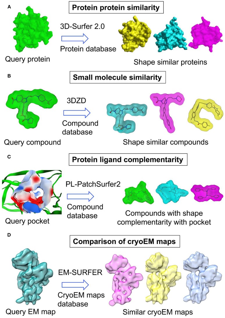 Figure 4