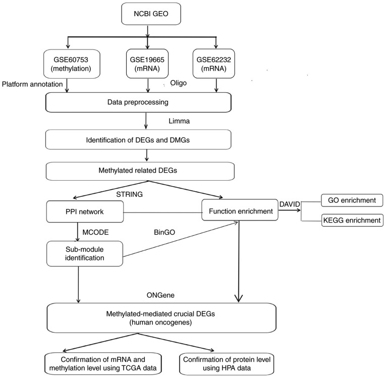 Figure 1.