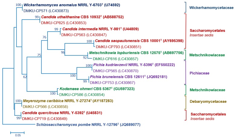 Figure 2