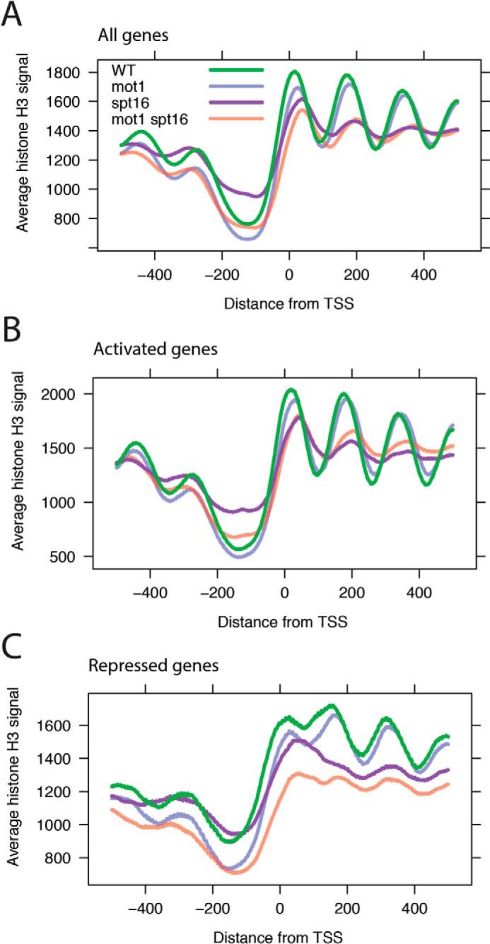 FIGURE 9.