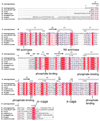Extended Data Figure 6