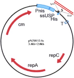 Fig. 1