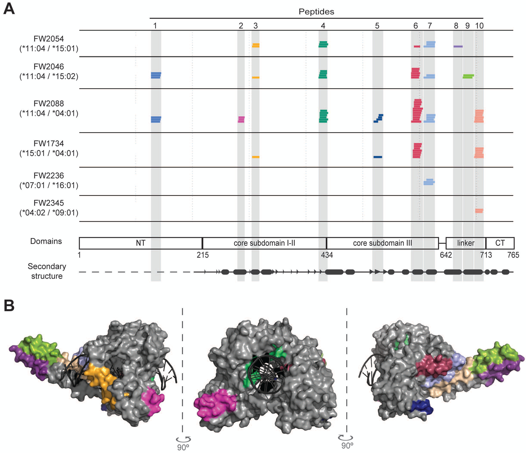 Figure 2.