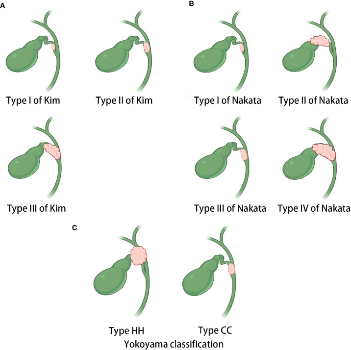 Figure 5