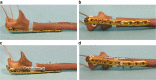 Fig. 2
