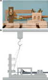 Fig. 3