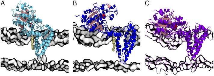 Fig. 4.