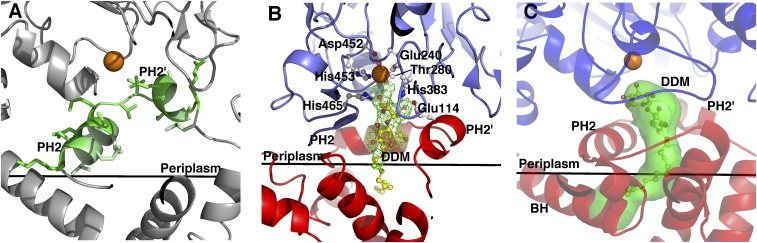 Fig. 2.